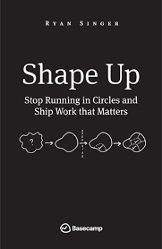 Shape Up book cover